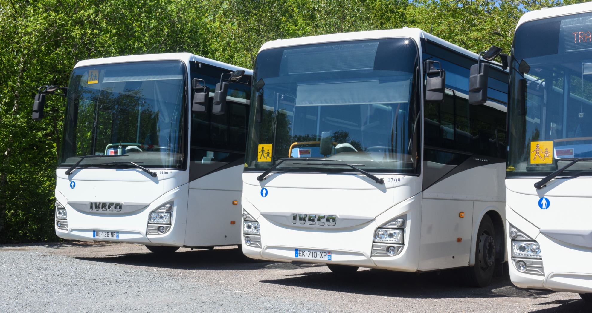 Bus scolaire occasion